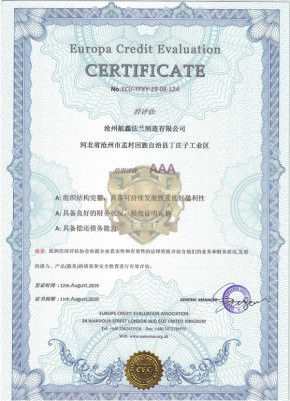 중국 Cangzhou Hangxin Flange Co.,Limited 인증